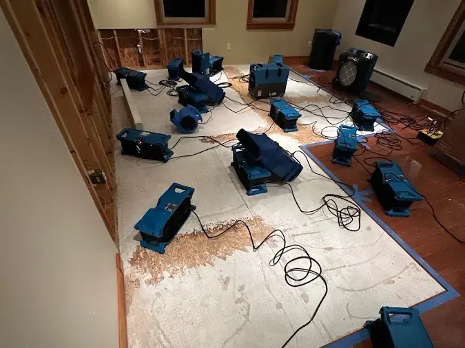Rows of air movers drying a bare subfloor after the flooring came up