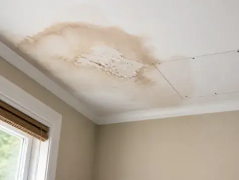 Brown water stain spreading across a ceiling near a window and an access panel