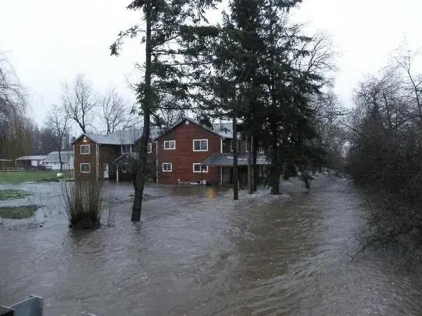 A creek over its banks running past two-story homes and evergreen trees